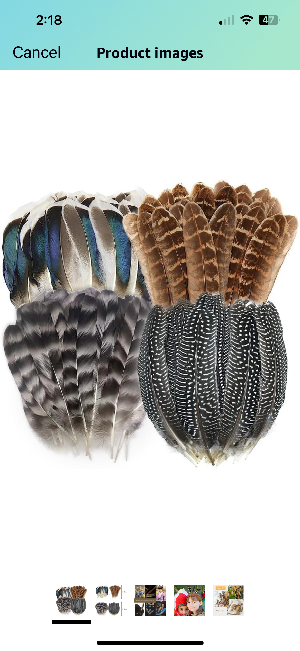 Feathers