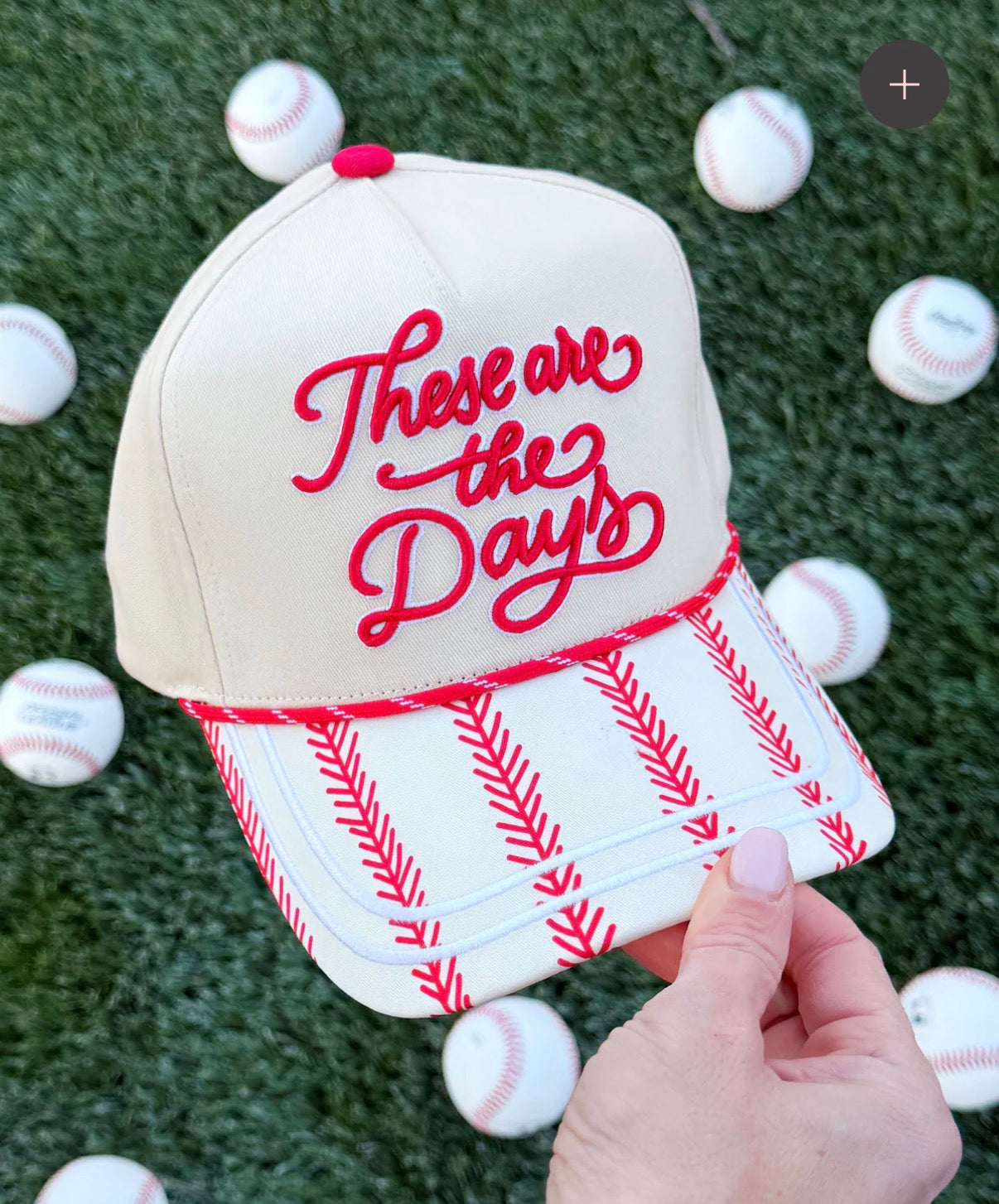 these are the days baseball trucker