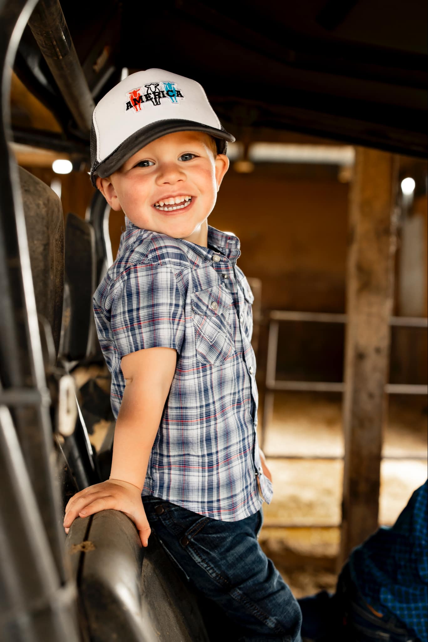 America cattle Youth trucker